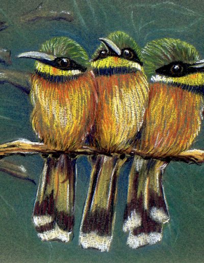 pastel drawing of three birds on a branch
