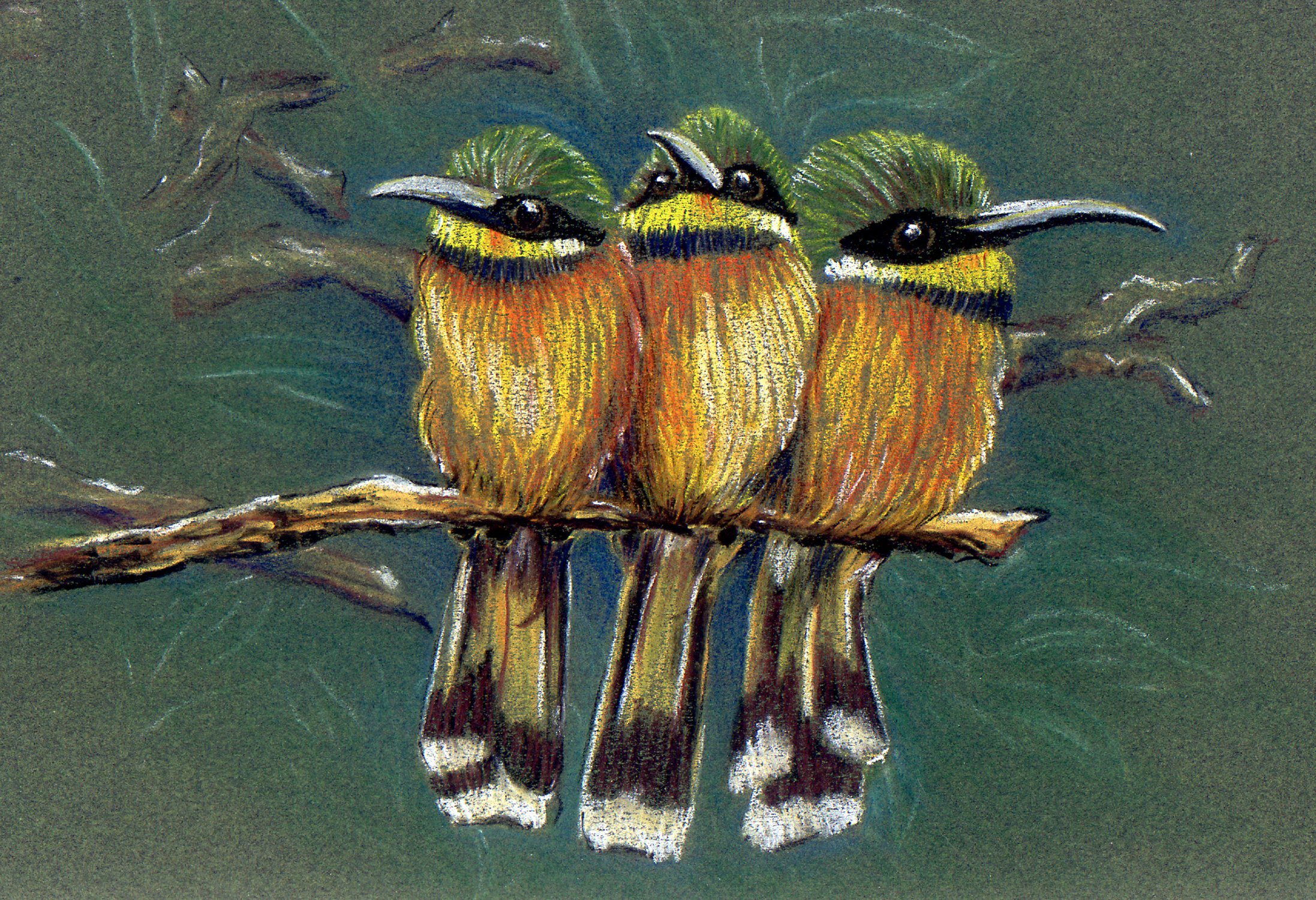 pastel drawing of three birds on a branch