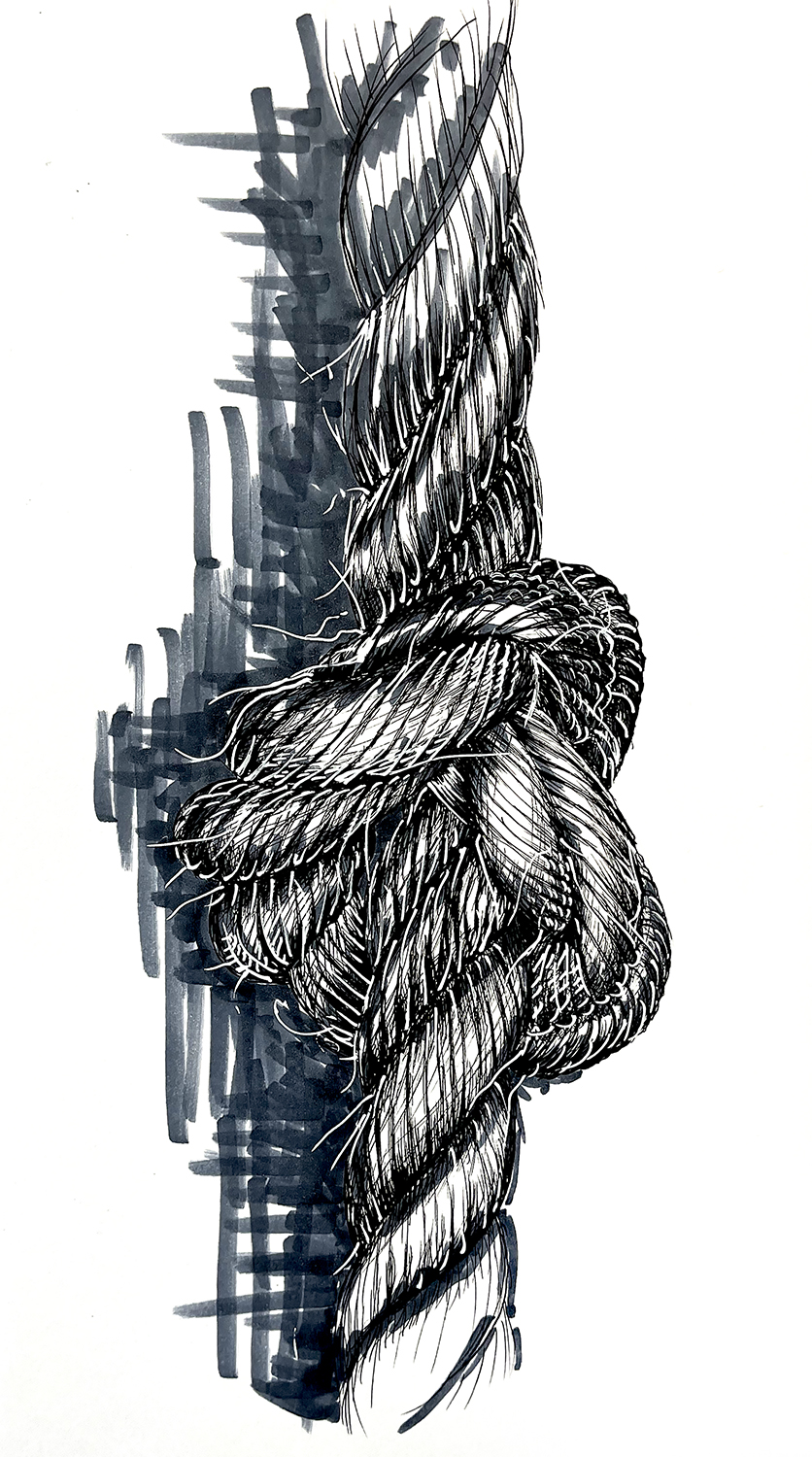 Drawing of rope knot