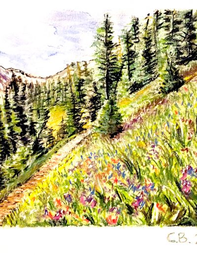 pastel drawing of alpine flowers