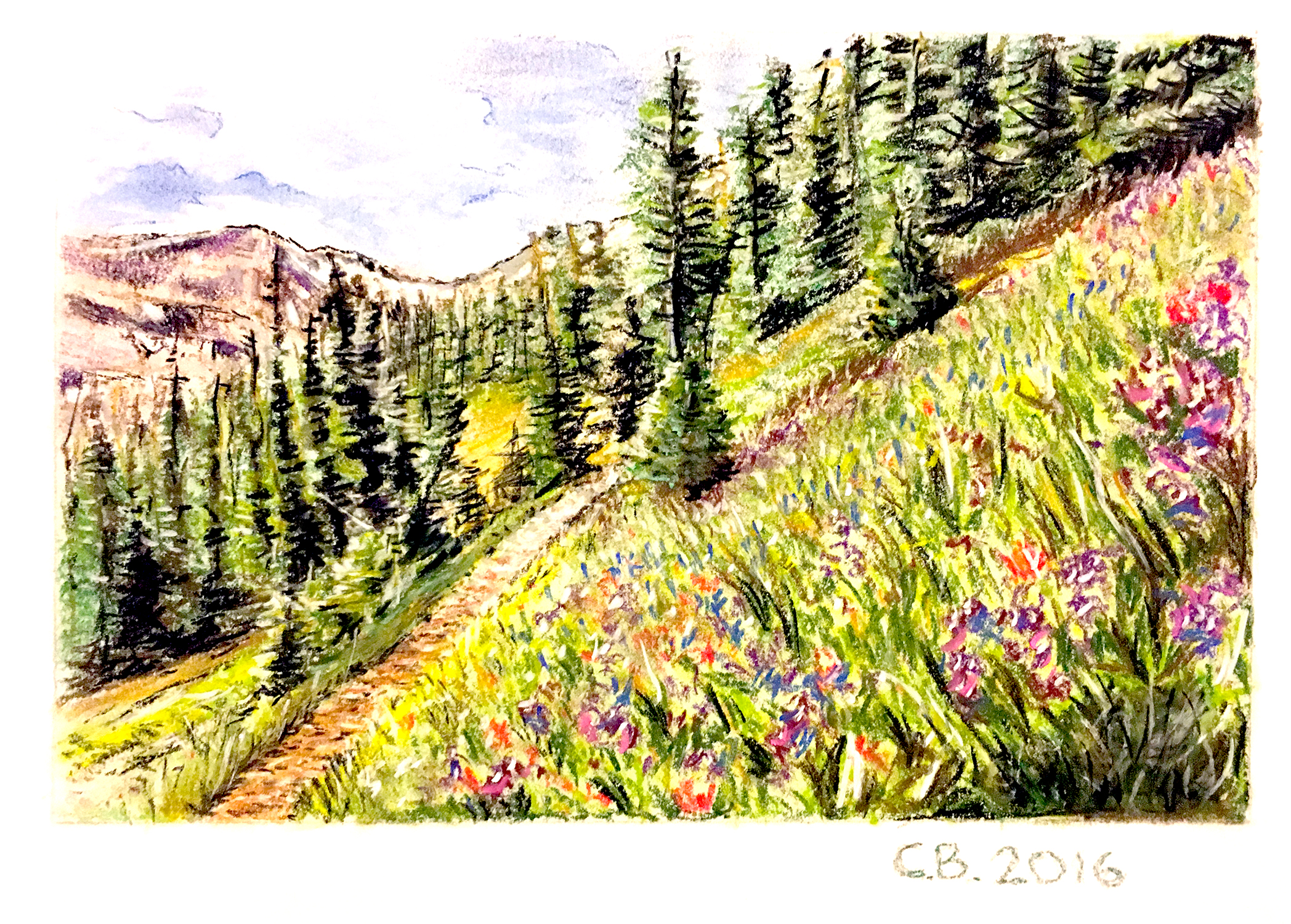 pastel drawing of alpine flowers