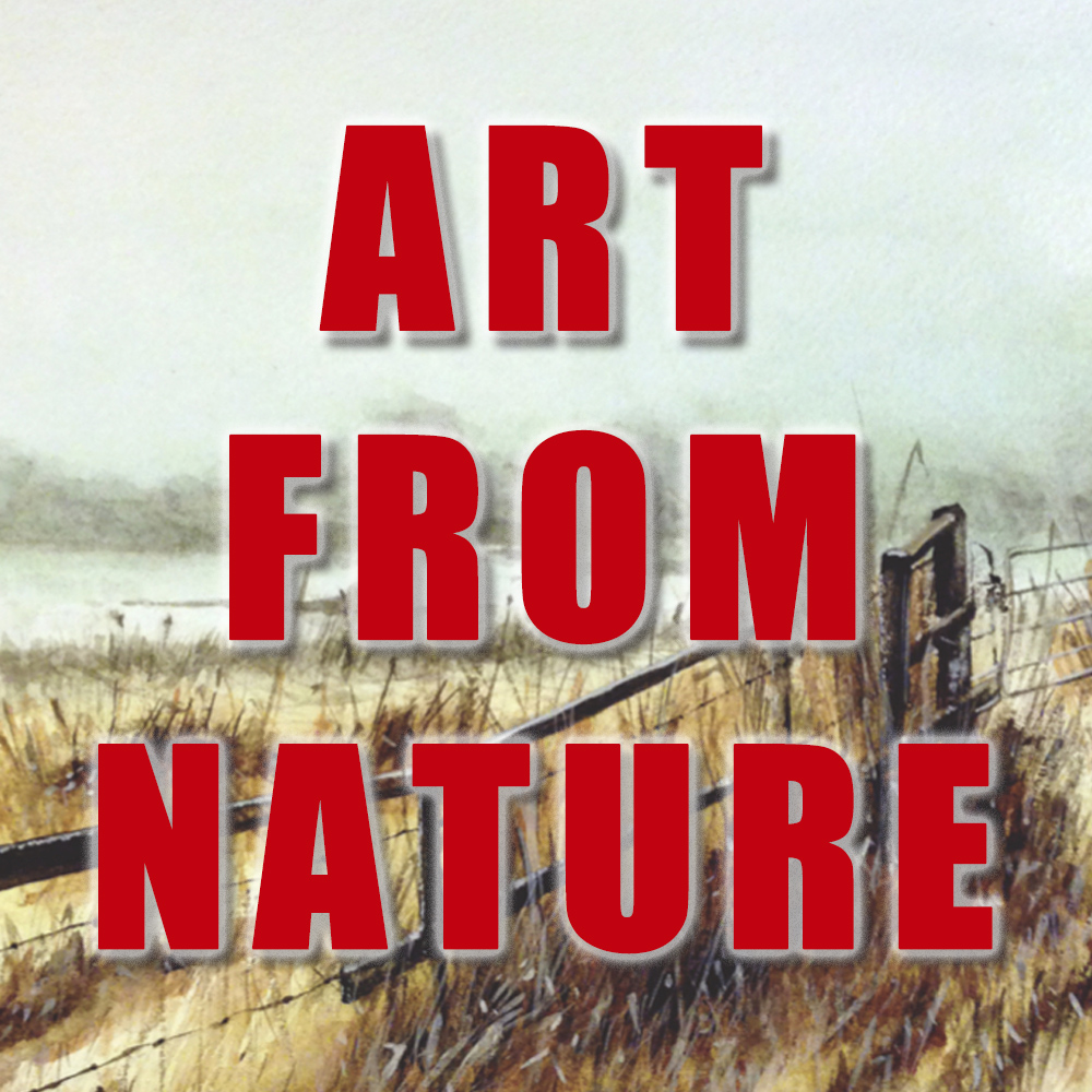 Art from Nature Link image