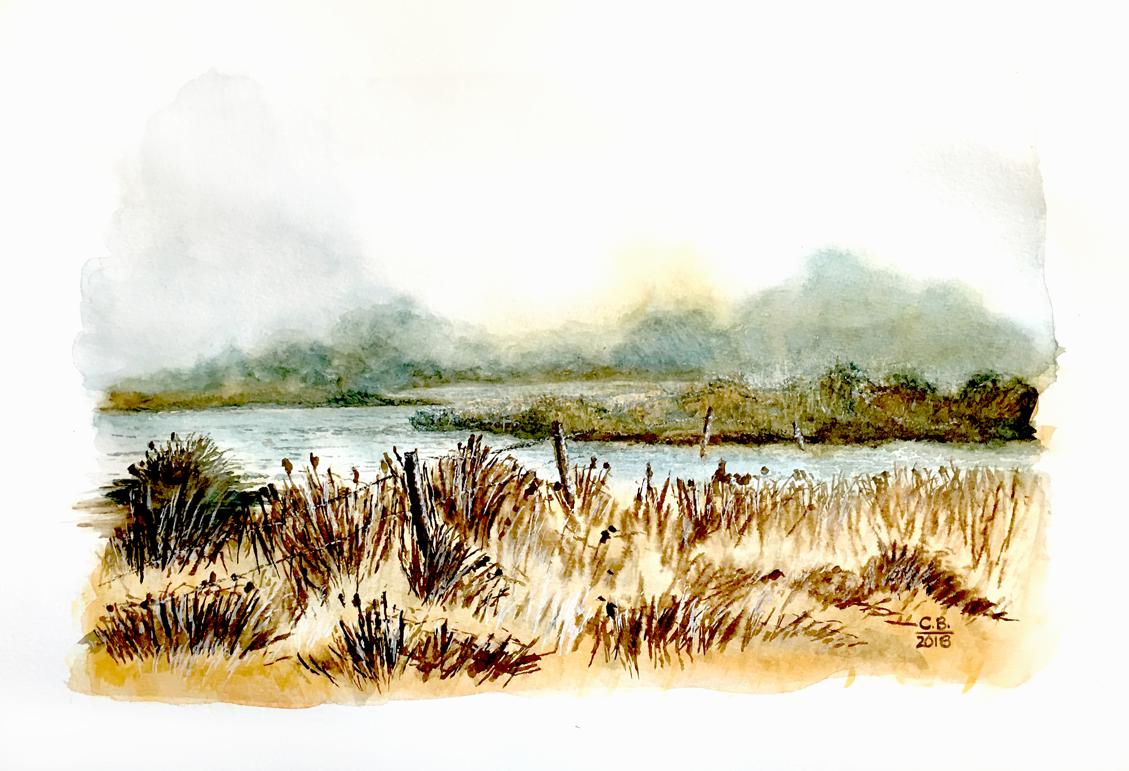 watercolour painting of bog