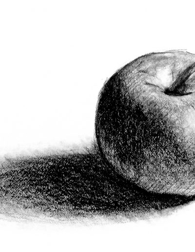 pencil still life of apple