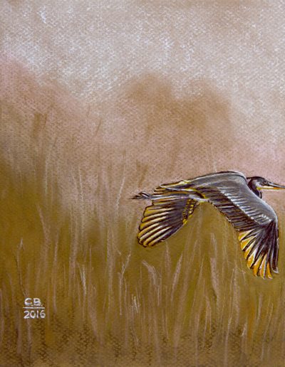 pastel drawing of heron flying