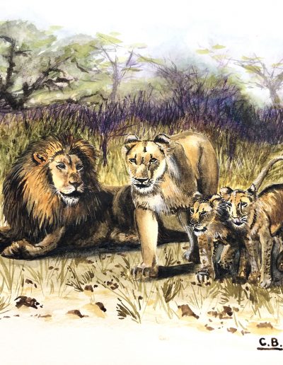 watercolour painting of lion family