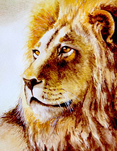 watercolour painitng of lion