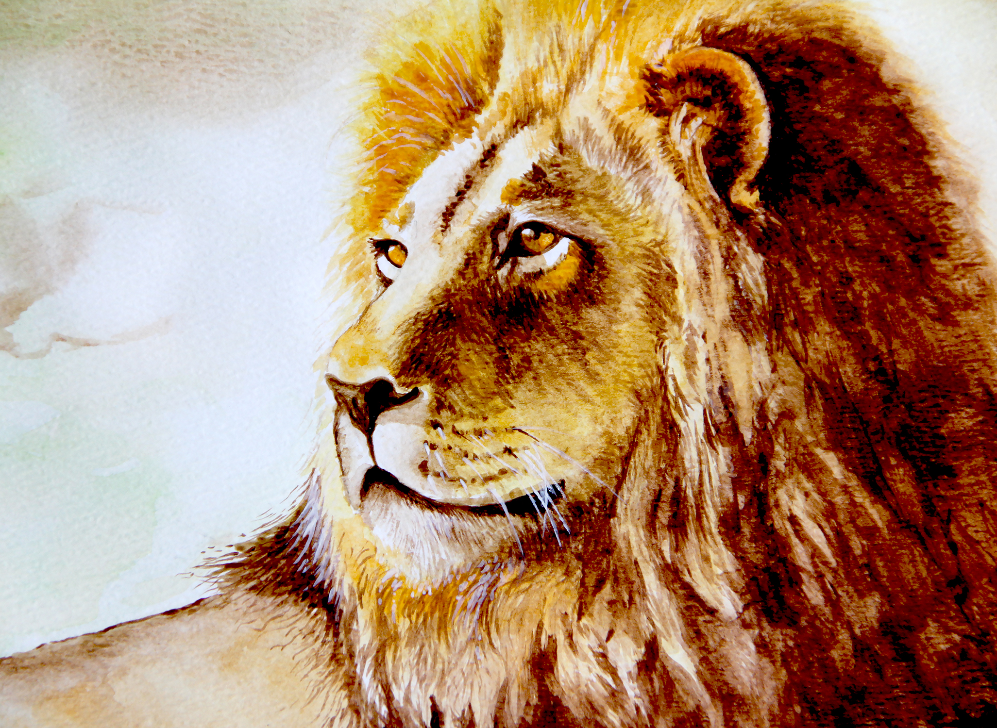 watercolour painitng of lion