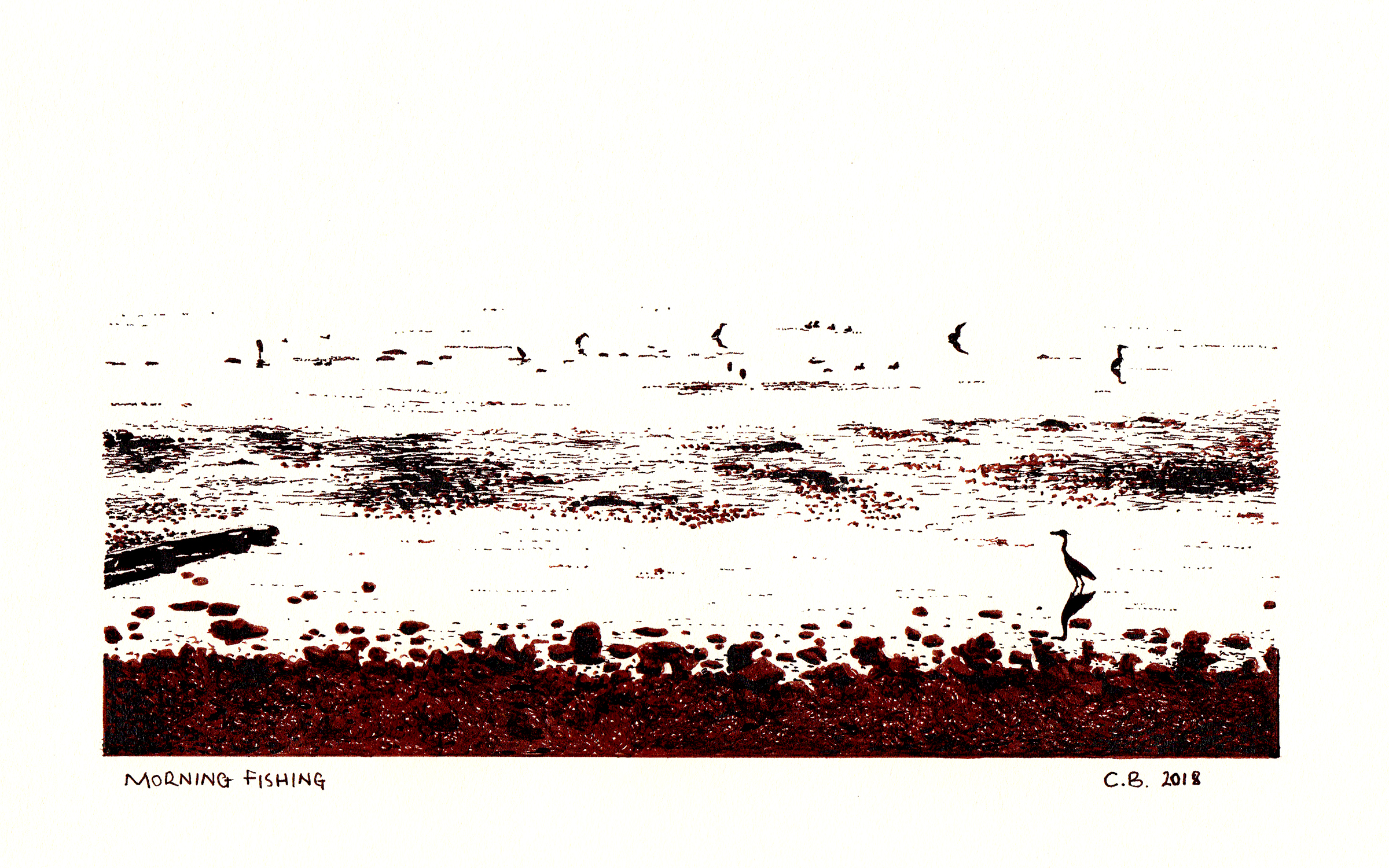 ink drawing of birds fishing