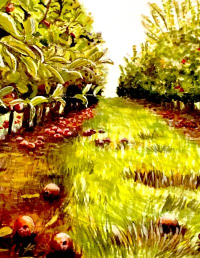watercolour painting of apple orchard