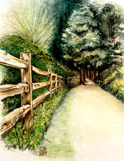 watercolour painting of woodland path