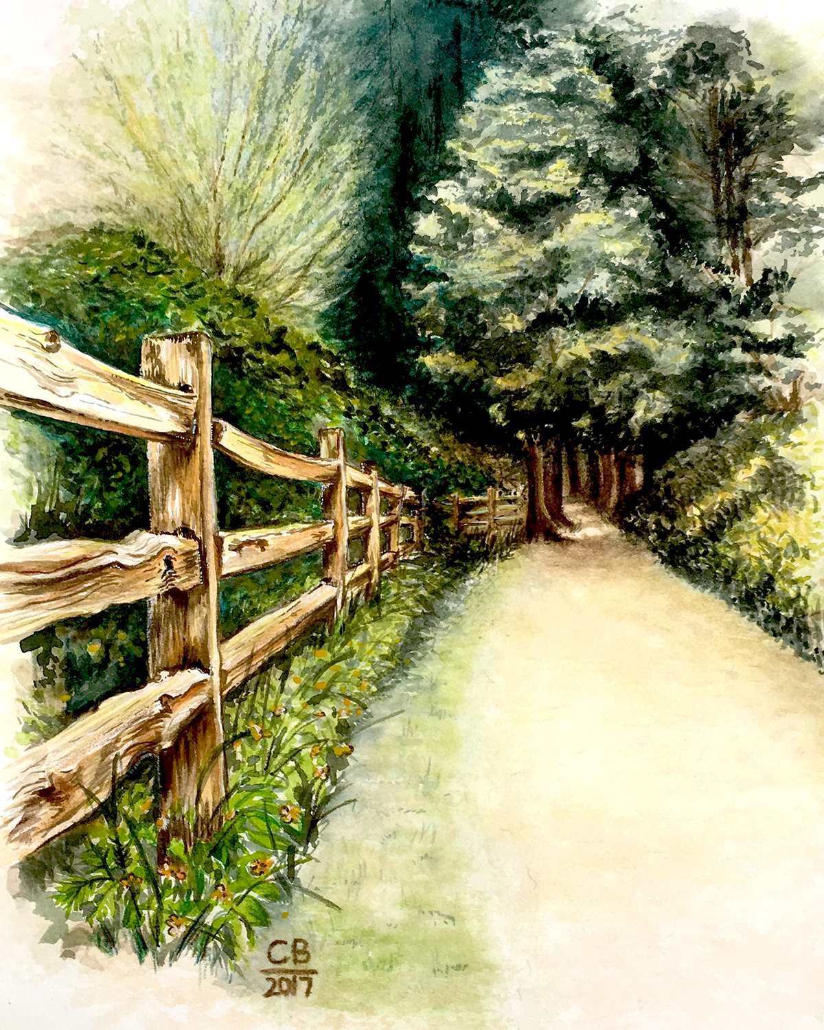 watercolour painting of woodland path