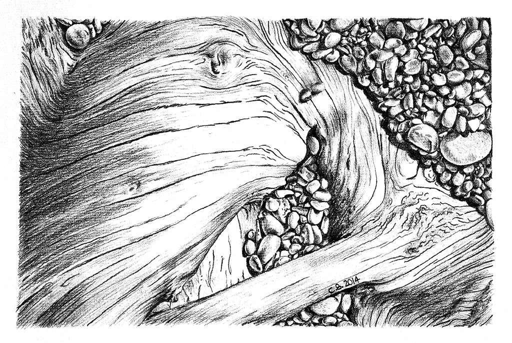 Pencil drawing of driftwood and pebbles