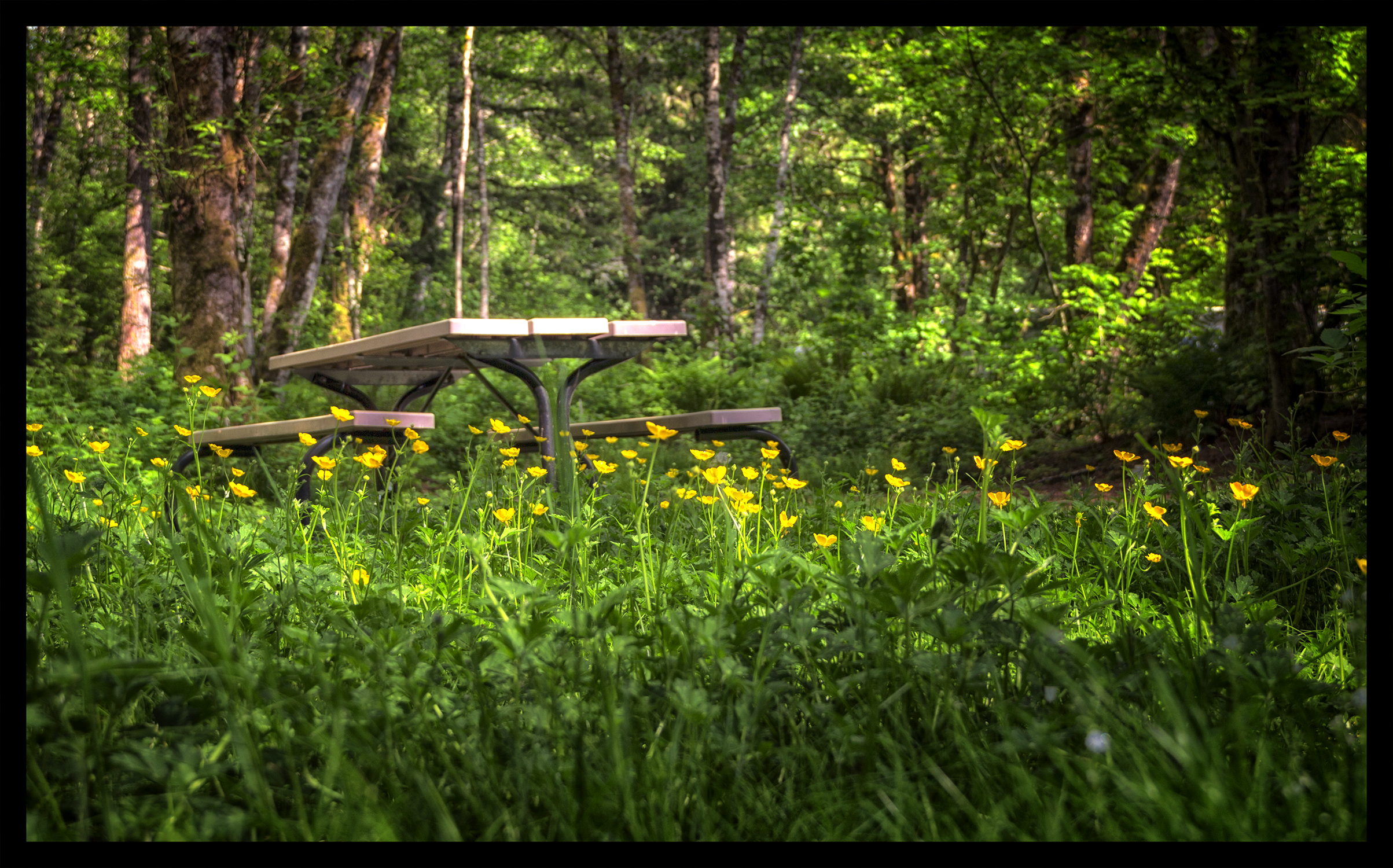 photo of picnic bench