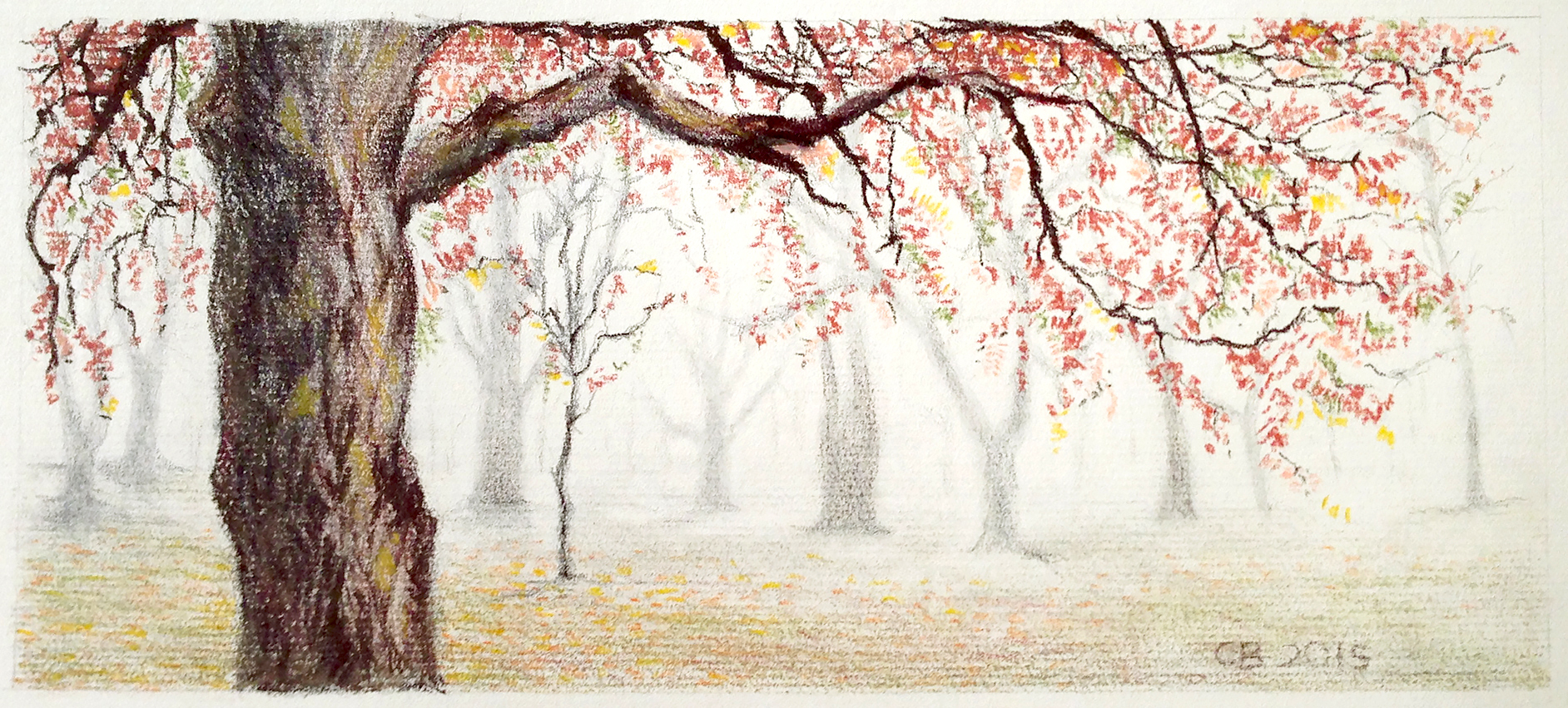 pastel drawing of an autumn in a woodland