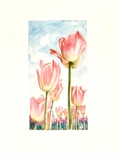 watercolour painting of tulips
