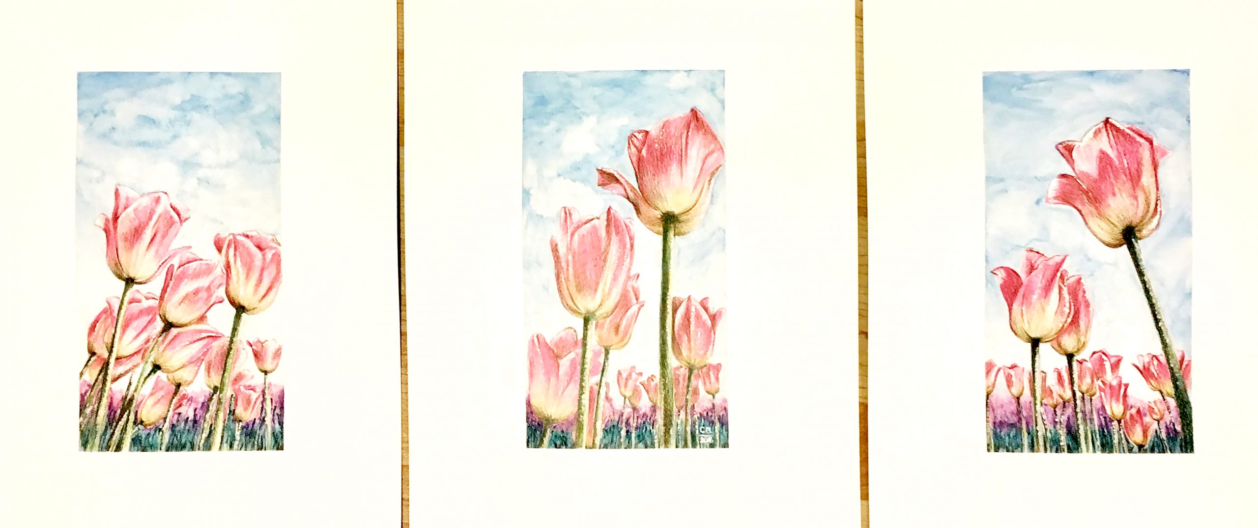 watercolour painting of tulips