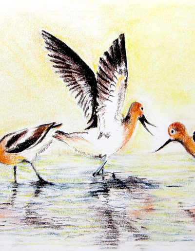 pastel drawing of birds