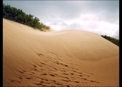 photo of beach dune