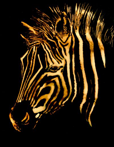 bleach and ink drawing of a zebra