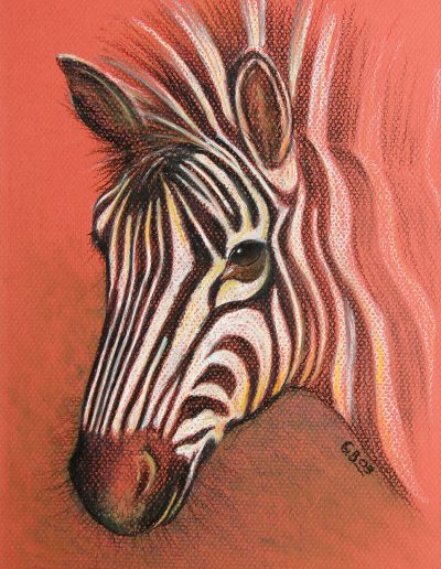 pastel drawing of zebra foal