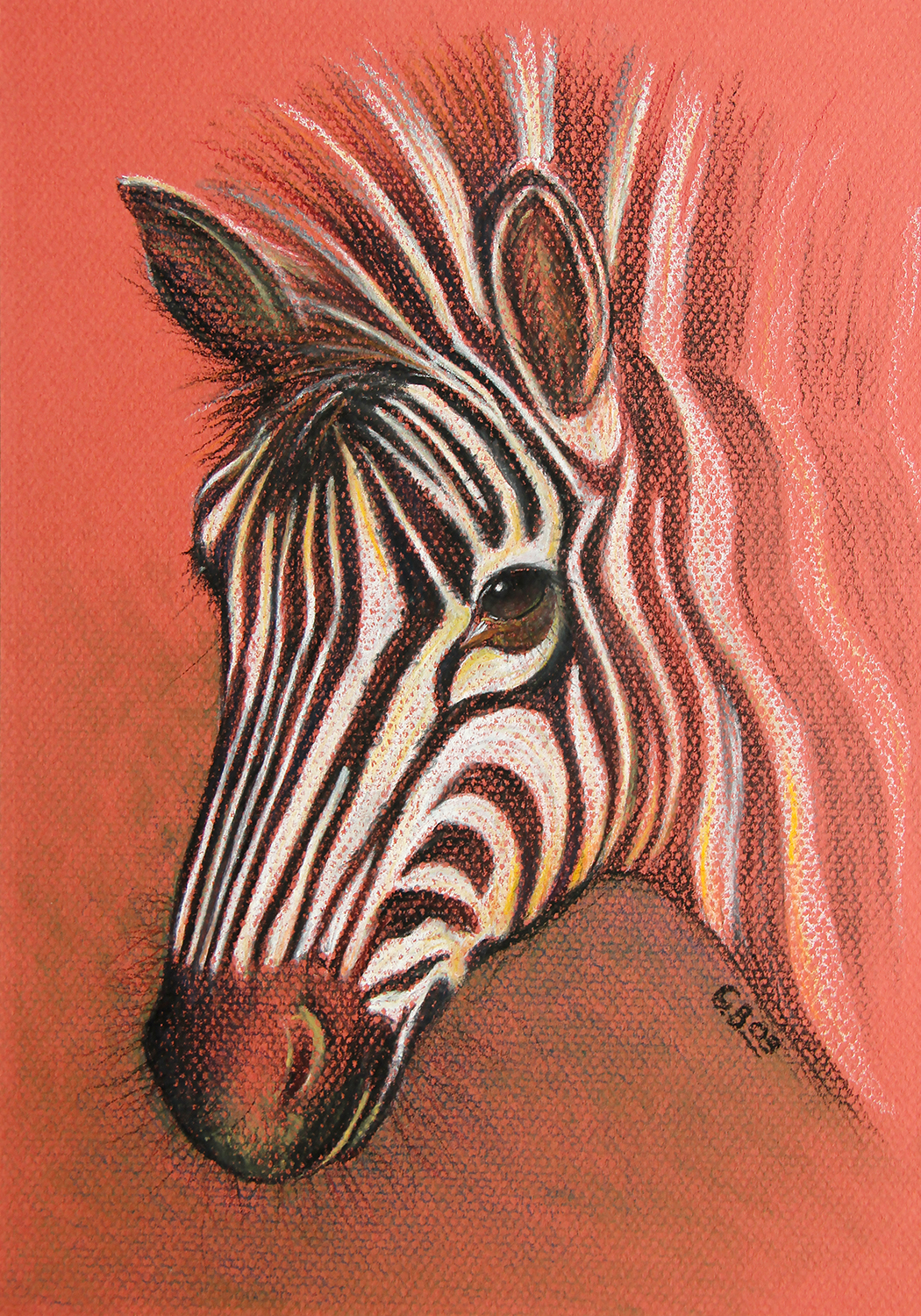 pastel drawing of zebra foal
