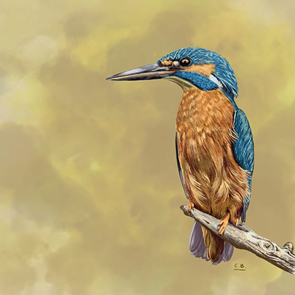digital art of a kingfisher