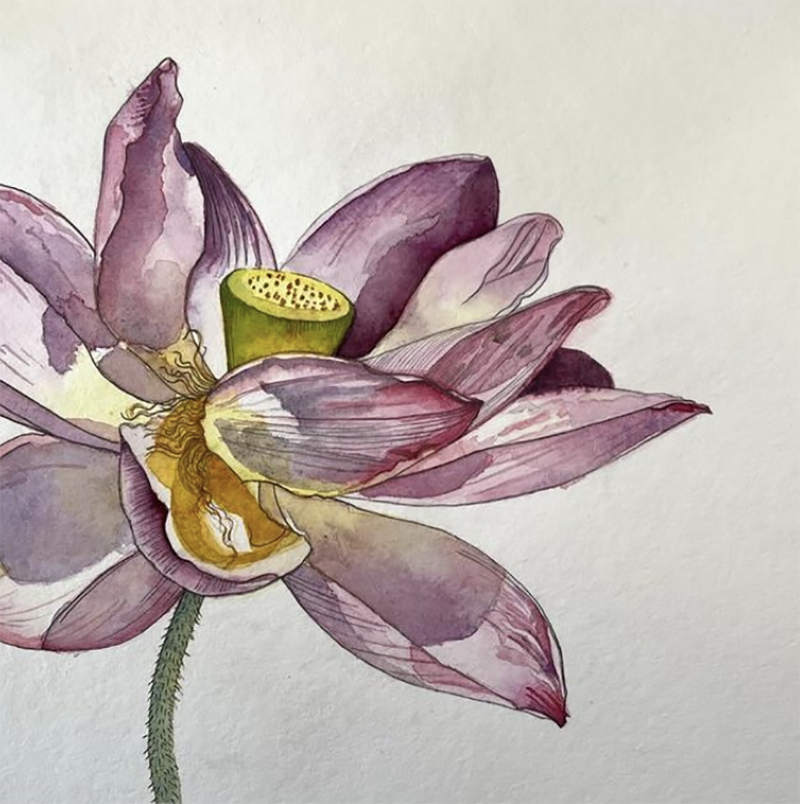 watercolour art of flower