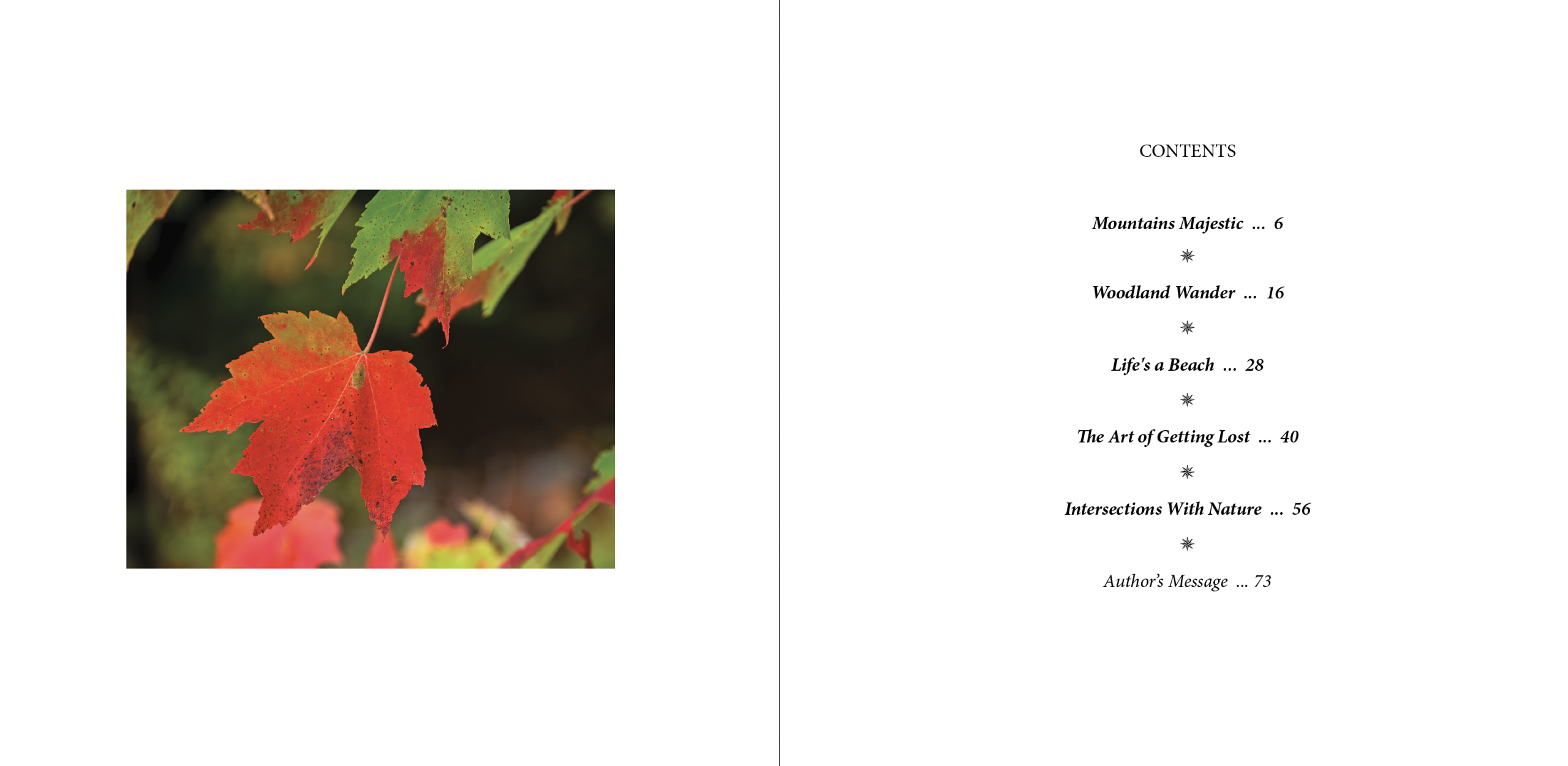 The contents pages of Adventures On the Wild Side. Left page is an image of a red maple leaf against autumn foliage, right page is the contents of the book:<br />
CONTENTS<br />
Mountains Majestic  ...  6<br />
Woodland Wander  ...  16<br />
Life's a Beach  ...  28<br />
The Art of Getting Lost  ...  40<br />
Intersections With Nature  ...  56<br />
Author’s Message  ... 73