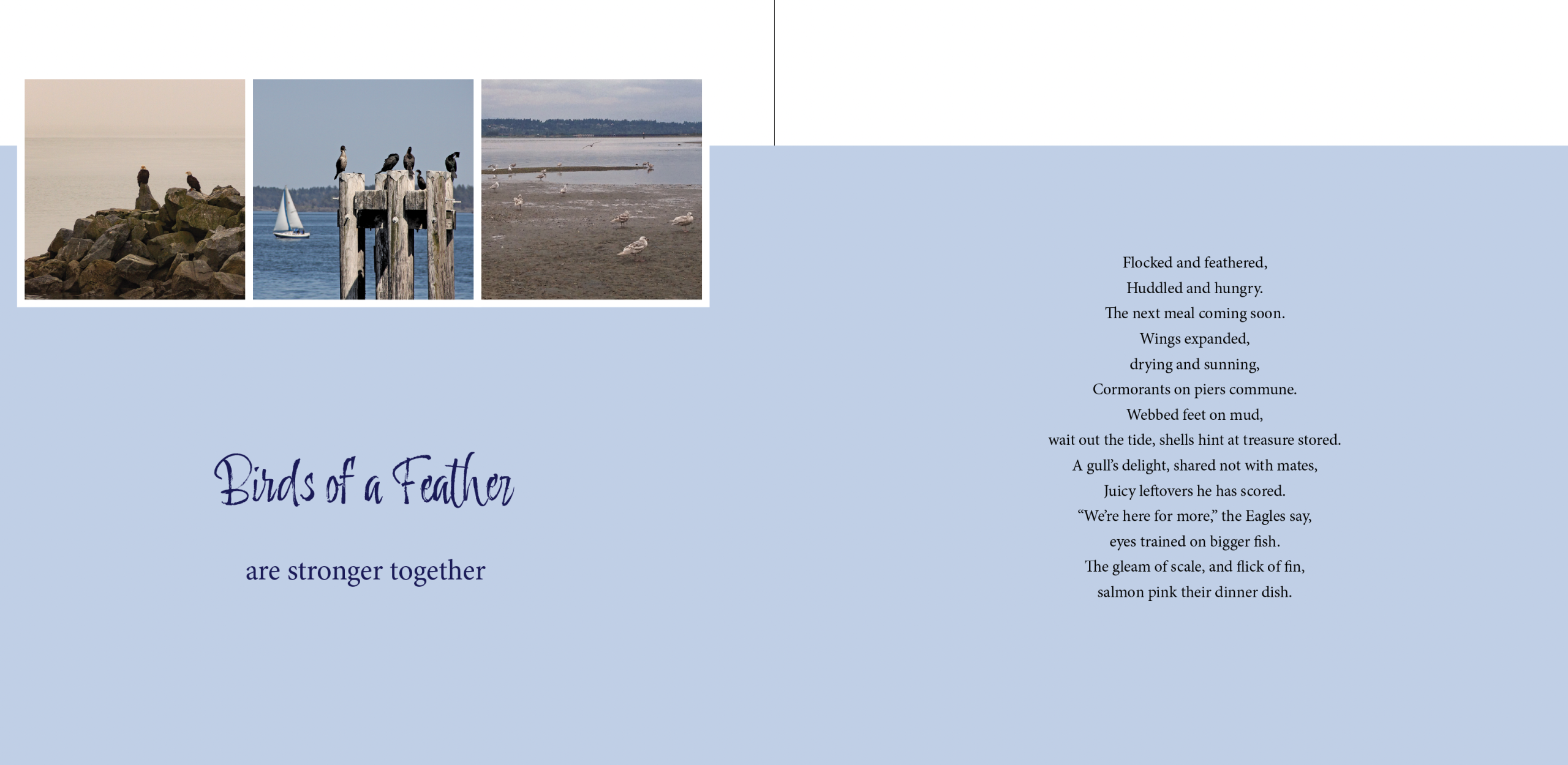 A spread of two pages. Left is blue and white with three images of birds (Eagles, Cormorants, Seagulls) and text: Birds of a Feather Are stronger together.<br />
Right page is a poem on a blue and white background.