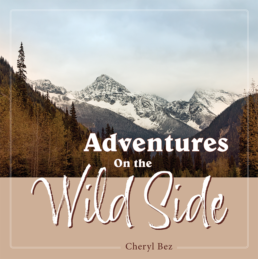 Adventures On the Wild Side cover - a photograph of a snow-capped mountain in the background, the foreground is autumn-coloured trees and dark hills.