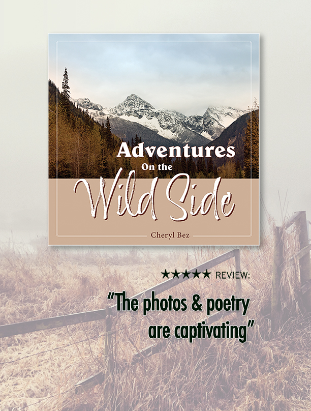 Adventures On the Wild Side cover - a photograph of a snow-capped mountain in the background, the foreground is autumn-coloured trees and dark hills.